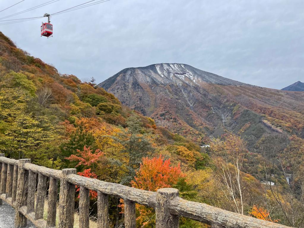 紅葉を観に行こうよう（苦笑）