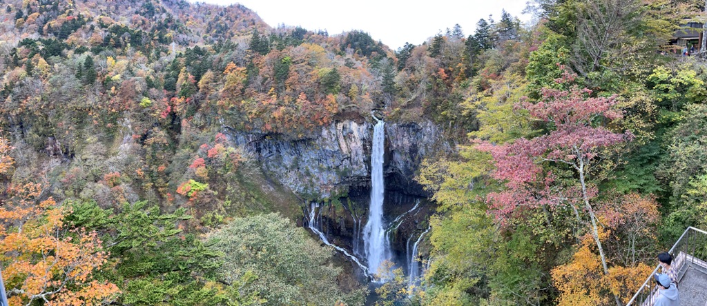 紅葉を観に行こうよう（苦笑）